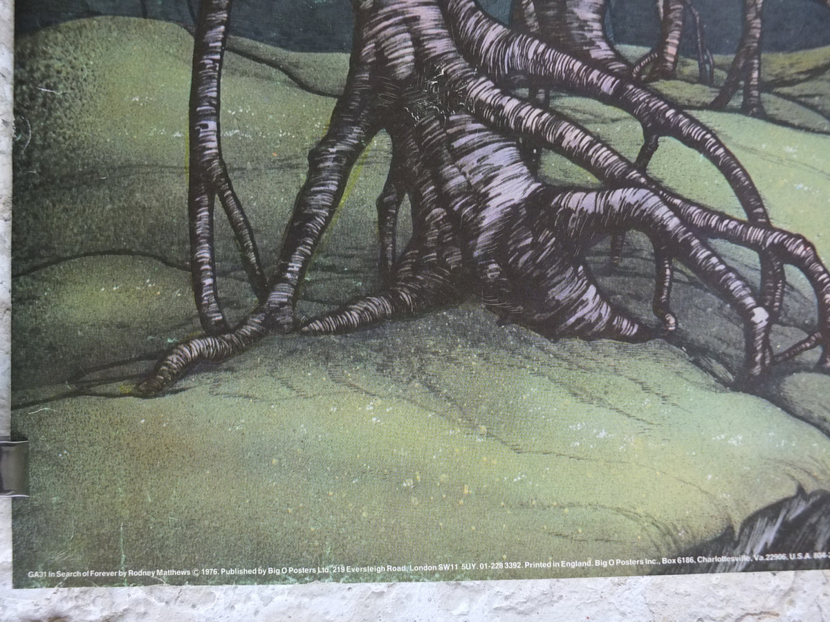 1976 In Search of Forever Poster, GA31 epic adventure quest art by Rodney Matthews, Big O Posters, fantasy wall art decor