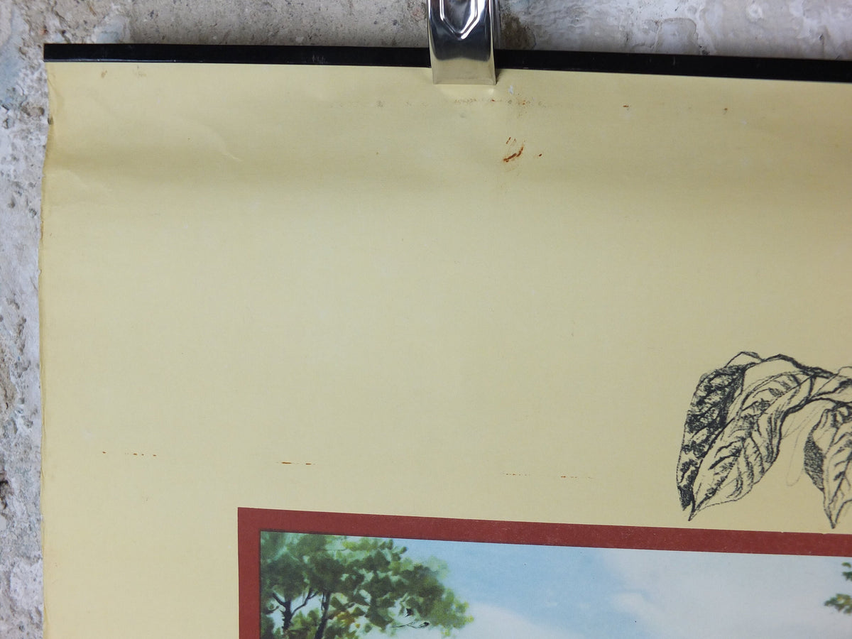 Original 1960s Cadbury Chocolate Poster, Chocolate making in Bournville, Cadburys Advertising, wall art retro decor