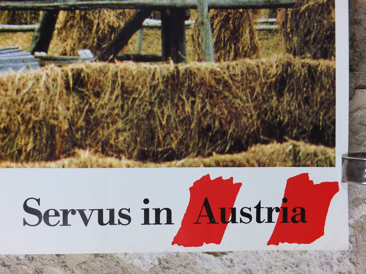 1990s Austrian Agriculture Poster, Traditional Hay Drying, Farming, published by Austrian Federal Government, travel tourism, wall art decor