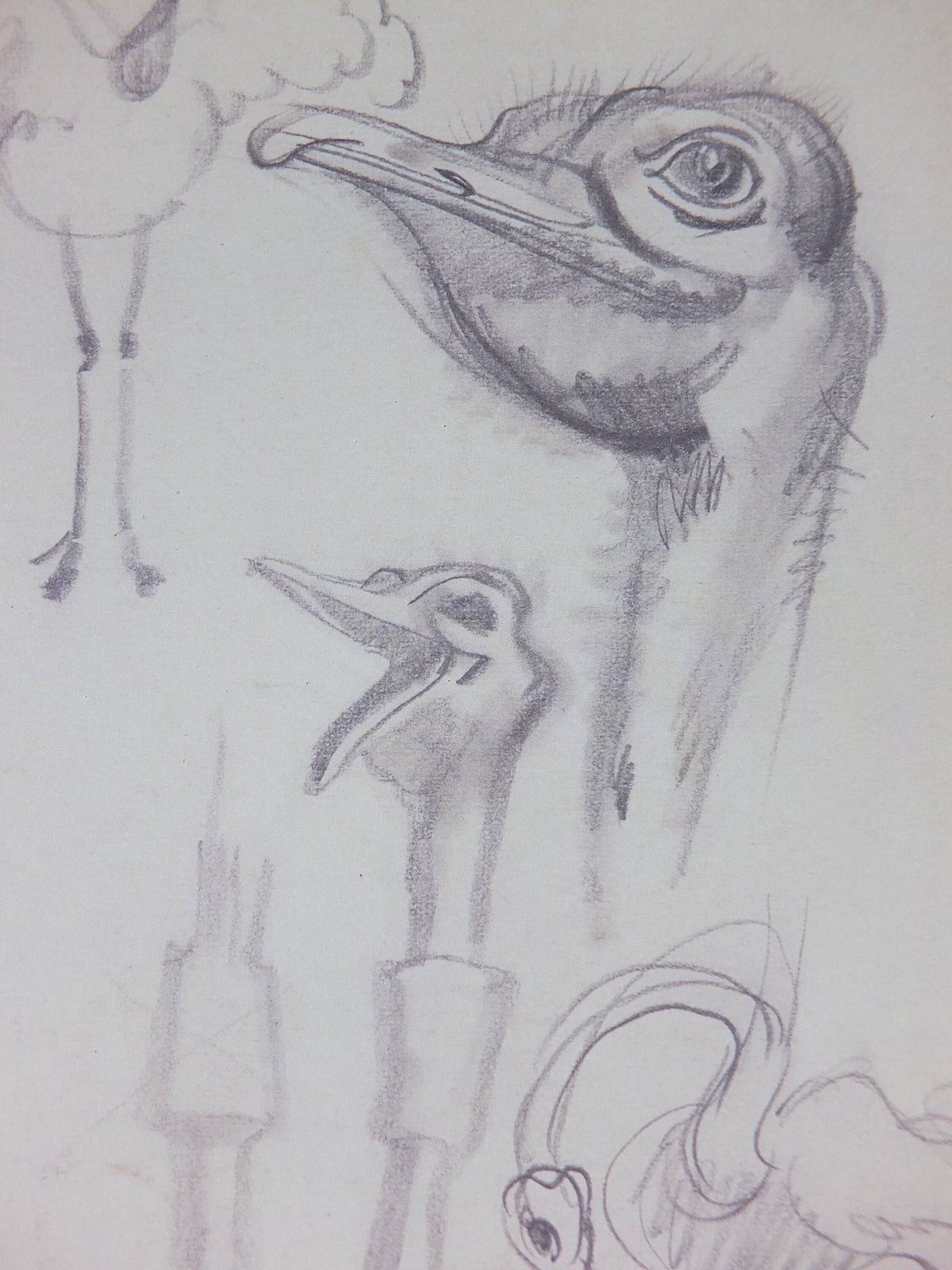 Guinness Ostrich Zoo Poster, by John Gilroy, drafts in pencil, Advertising campaign Wall art retro 1990s