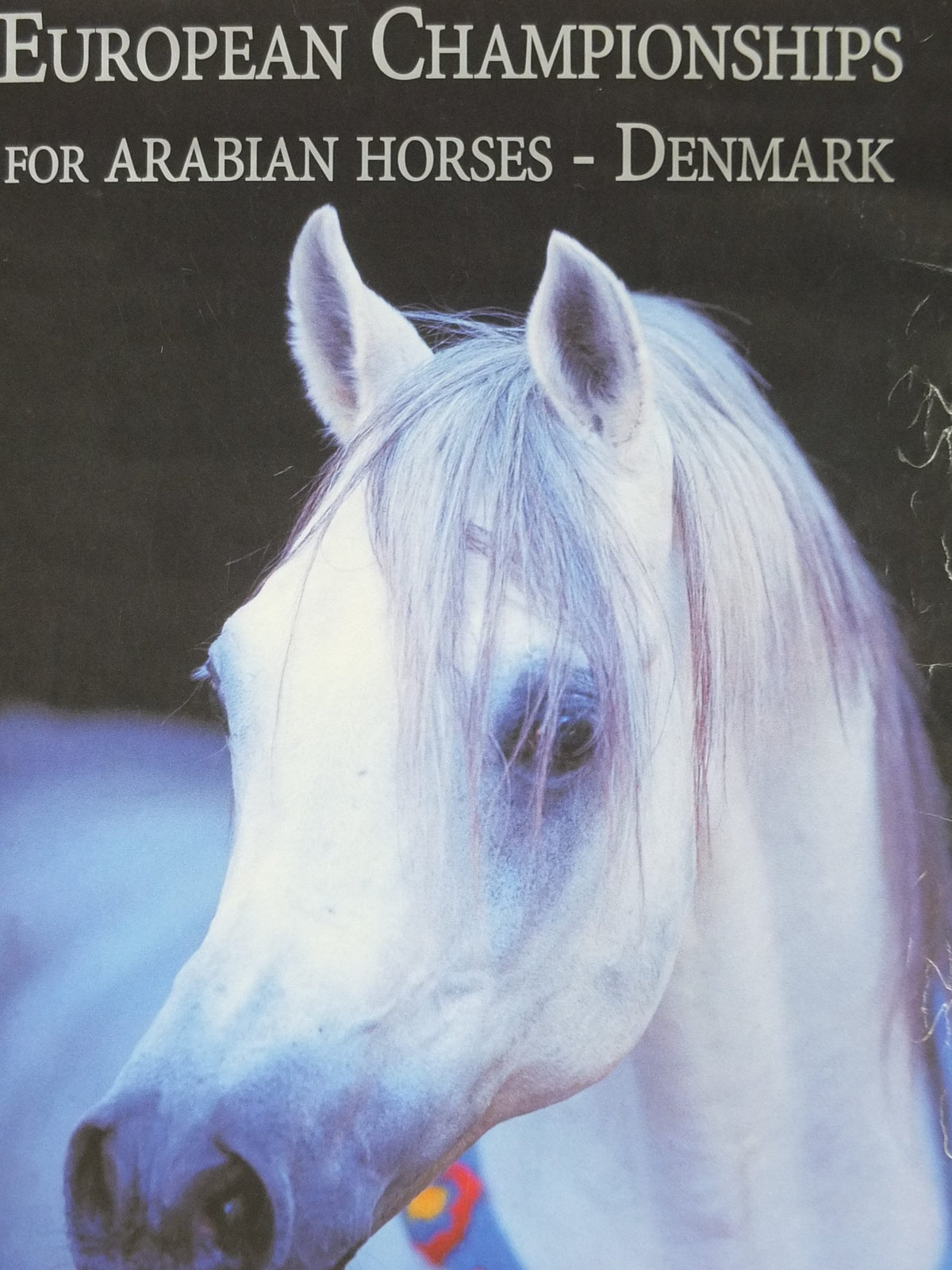 2000 Arabian Horses Poster, European Championships for Arabian Horses, Vilhelmsborg Denmark, Equestrian, wall art decor