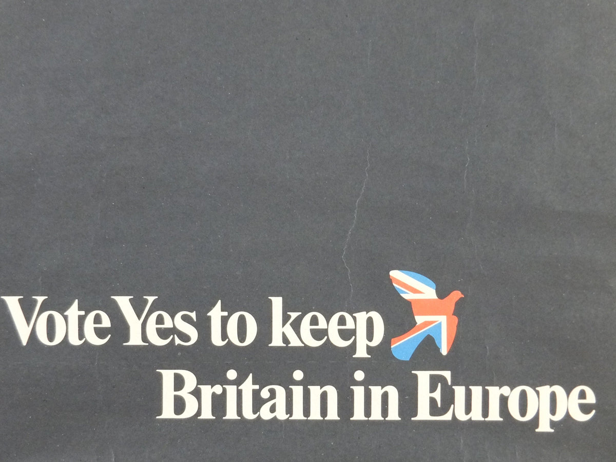 1975 Vote Yes to keep Britain in Europe Poster, initial referendum to join and stay in the EEC, democracy in Europe, wall art decor
