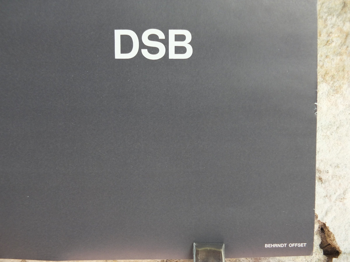 1977 DSB Danske Statsbaner Poster, by Buster Bruun, Danish State Railways, colourful landscape, Scandanavian design, wall art decor