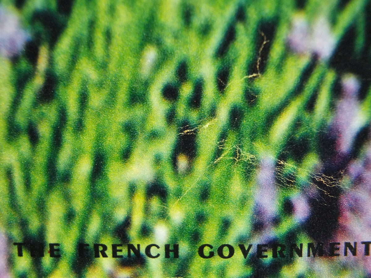 1970s Lavender fields in France Poster, Alpes-de-Haute-Provence, printed by French Government, travel tourism, wall art decor