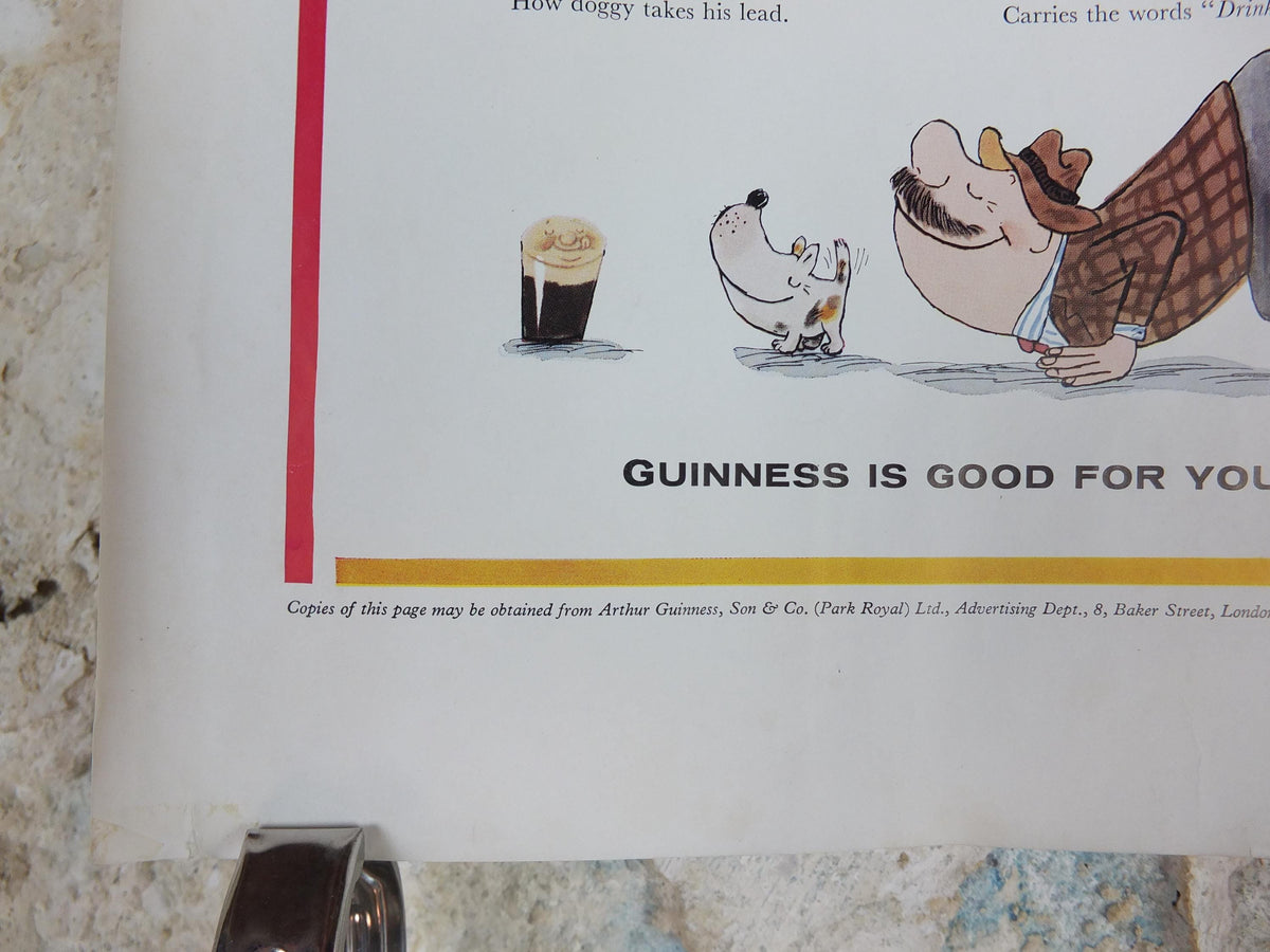 1961 Guinness Dog Poster, Paradogs, Guinness Pet Page, Mans Best Friend by Gerard Hoffnung, ale Irish stout beer advertising, wall art decor