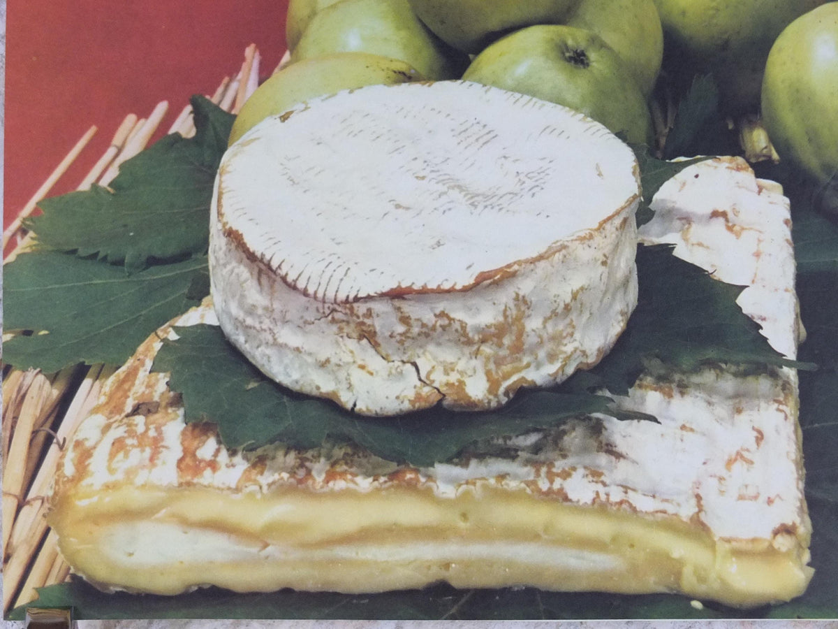 1960s Cheeses of France Poster, soft cheeses with apples, Fromages de France, TRIMMED, cheesemaking, Haut Medoc, kitchenalia wall art decor