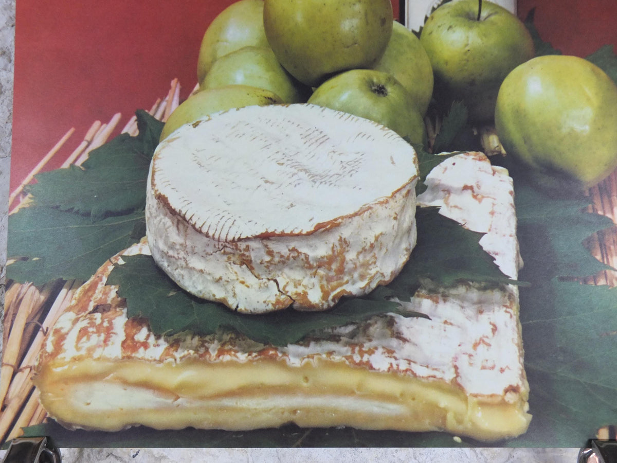 1960s Cheeses of France Poster, soft cheeses with apples, Fromages de France, TRIMMED, cheesemaking, Haut Medoc, kitchenalia wall art decor