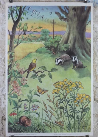 Botanical Posters