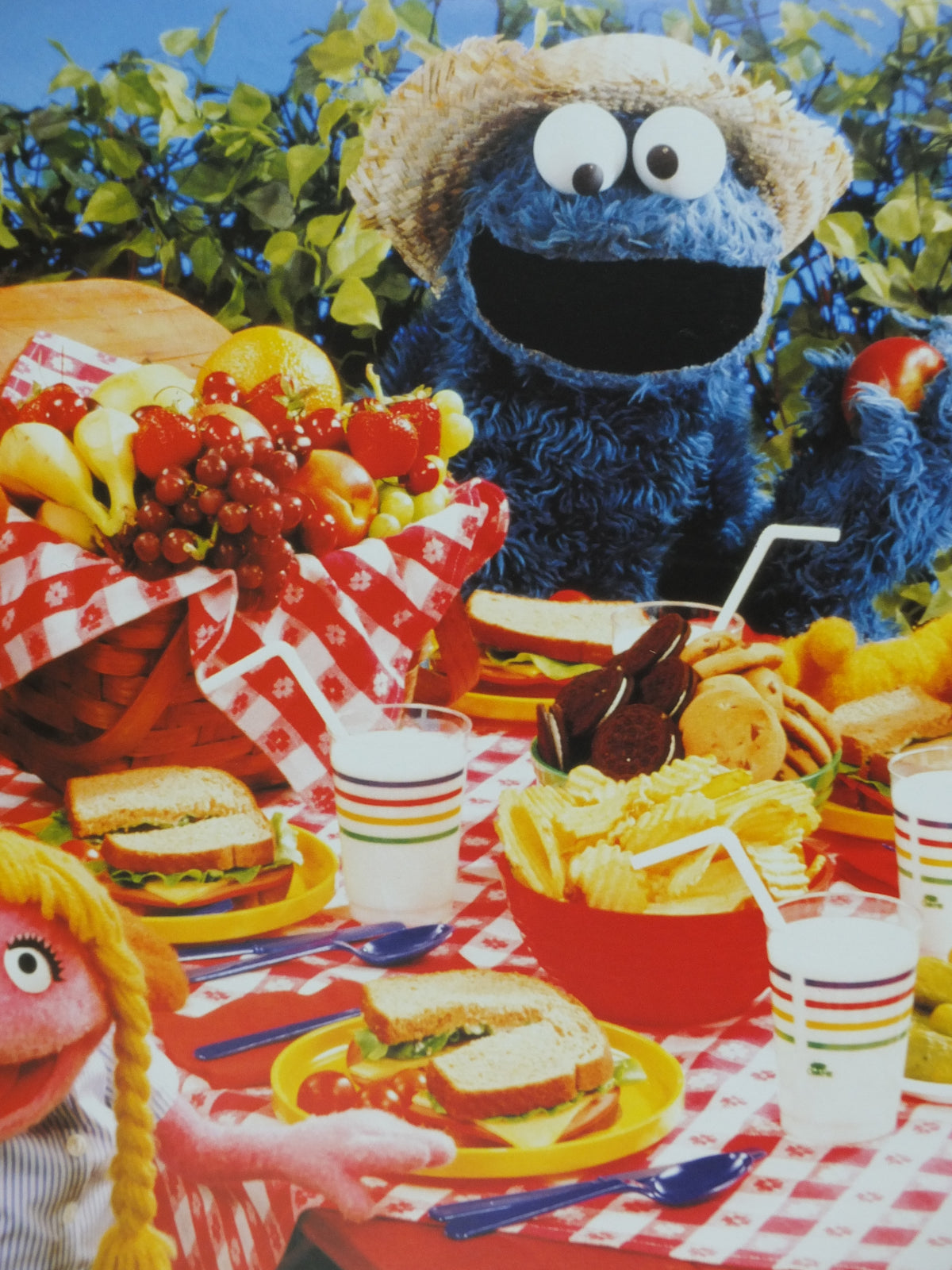 1998 Sesame Street picnic Poster, Bert & Ernie, Cookie Monster and Grover, Licenced poster, wall art film memorabilia decor
