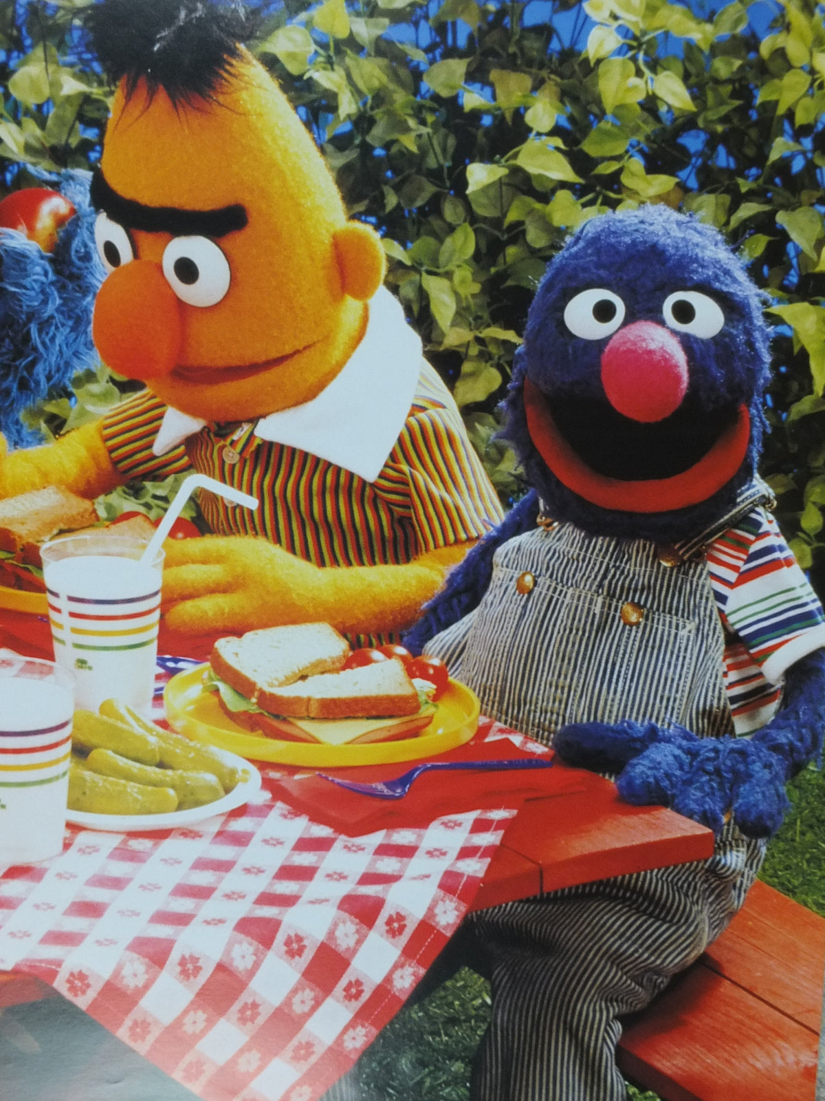 1998 Sesame Street picnic Poster, Bert & Ernie, Cookie Monster and Grover, Licenced poster, wall art film memorabilia decor