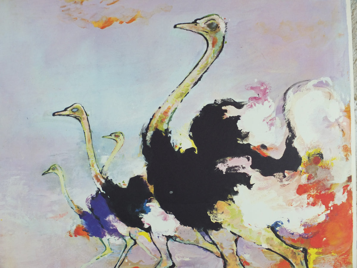 Original c.1958 SAS South Africa Ostrich Travel Poster by Otto Nielsen