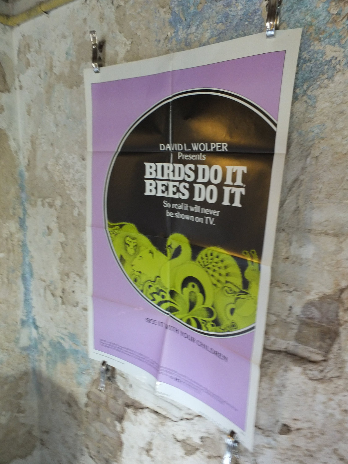 Original Vintage Movie Poster Birds do it Bees do it 1974 1970s wall art animals mating documentary US one sheet cinema film memorabilia