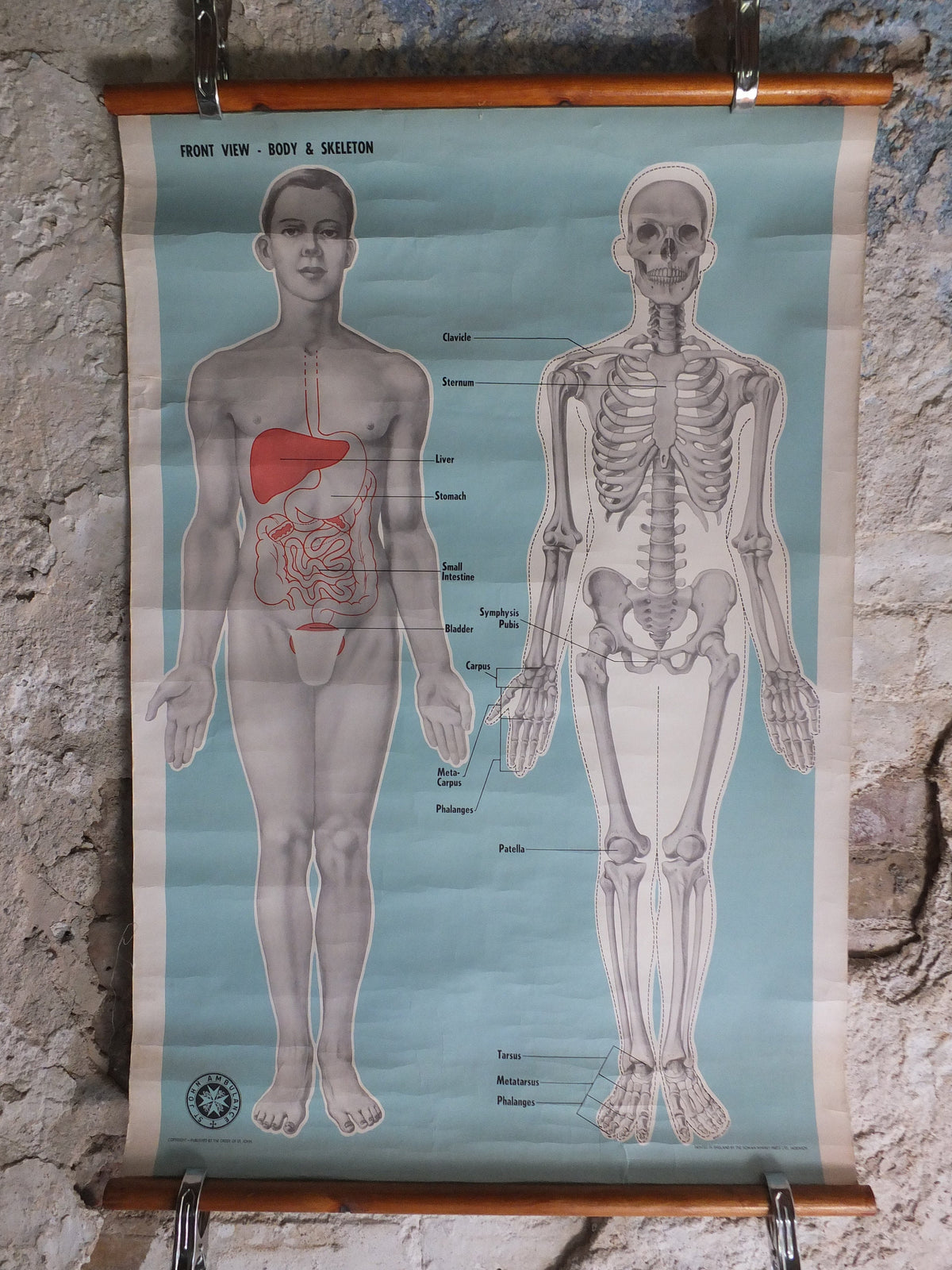 Original Vintage St Johns Ambulance Wall Chart human powder blue poster anatomical anatomy biology body medicine doctor wall art retro 1950s