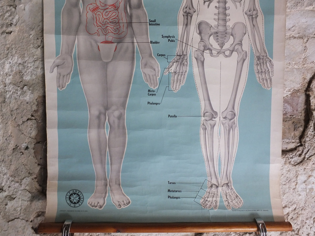 Original Vintage St Johns Ambulance Wall Chart human powder blue poster anatomical anatomy biology body medicine doctor wall art retro 1950s