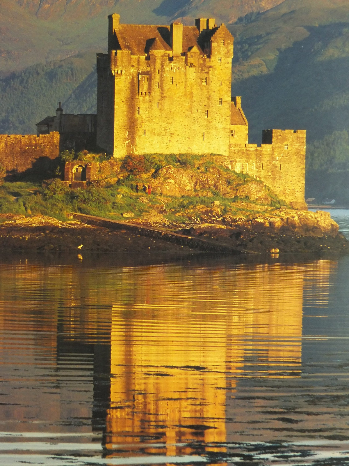 Original Vintage Scotland Travel Poster Eilean Donan Castle Loch Duich Scottish highlands lake travel tourism holiday vacation wall art 1990