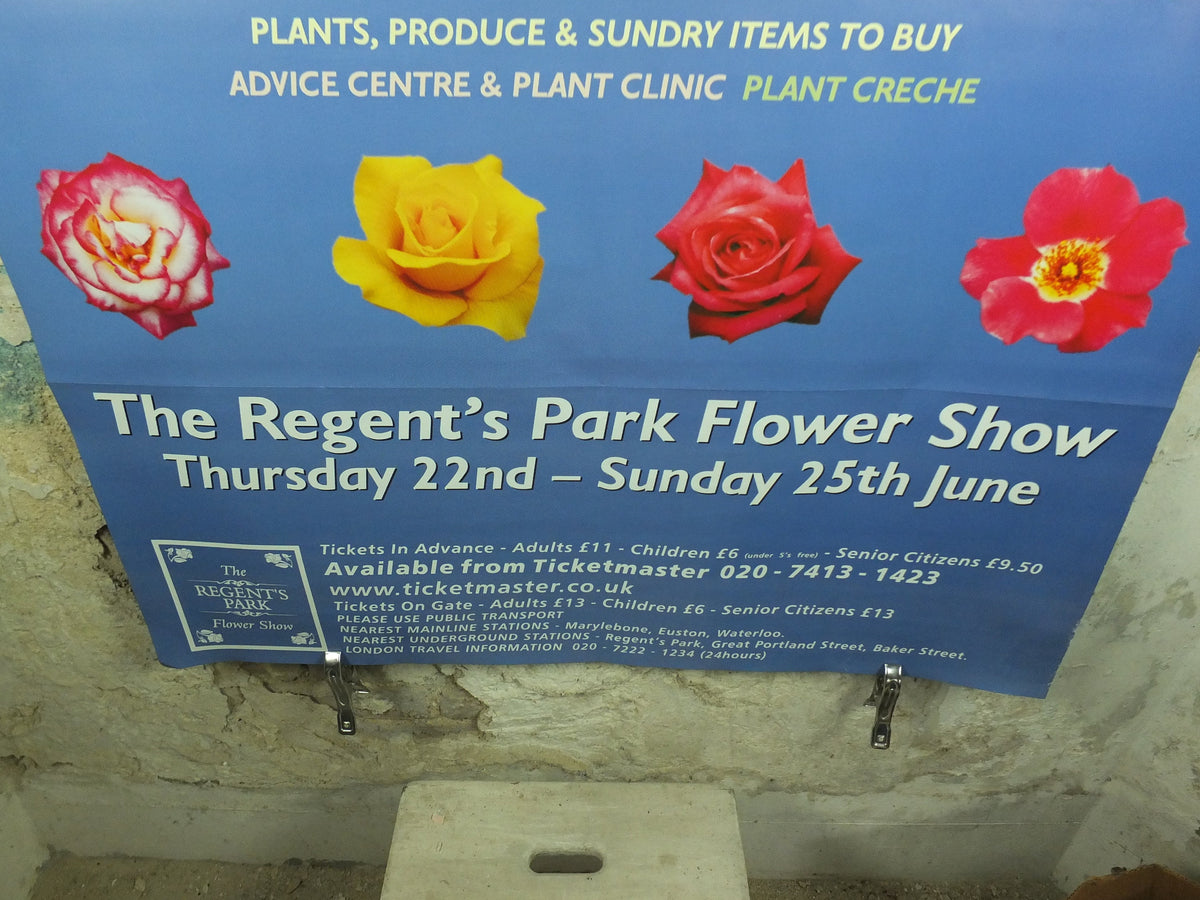 Original Vintage Regents Park Flower Show Poster Dream of a Midsummer Flower Show Garden botanical flora plants bloom 2000 wall art 2000s