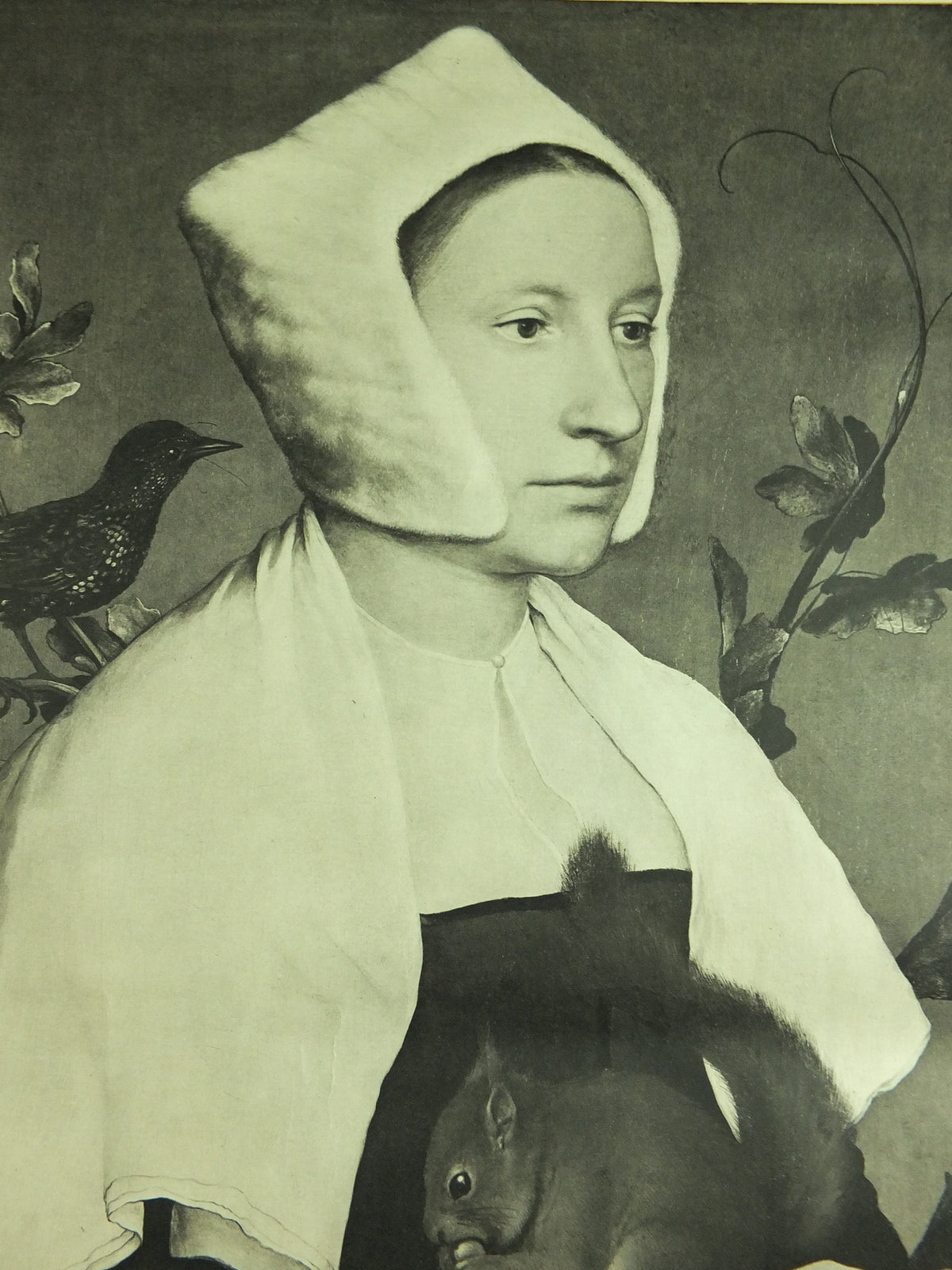 Original Vintage Royal Academy of Arts Poster Holbien and Masters 16C 17C Lady Squirrel Starling gallery exhibition wall art 1950s