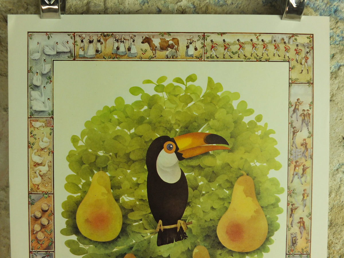 Original Vintage Guinness Toucan Poster, Toucan in a Pear Tree, 12 Days Christmas, advertising Irish stout beer print wall art decor 1970s