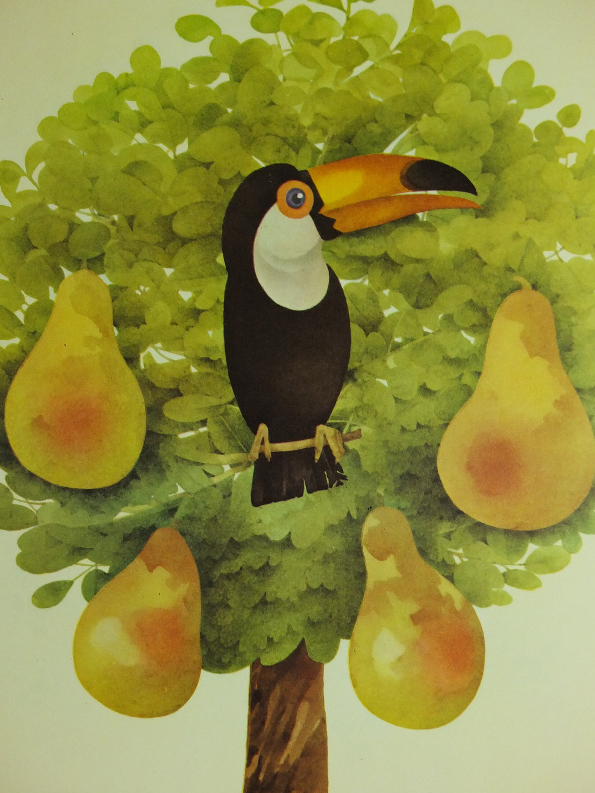 Original Vintage Guinness Toucan Poster, Toucan in a Pear Tree, 12 Days Christmas, advertising Irish stout beer print wall art decor 1970s
