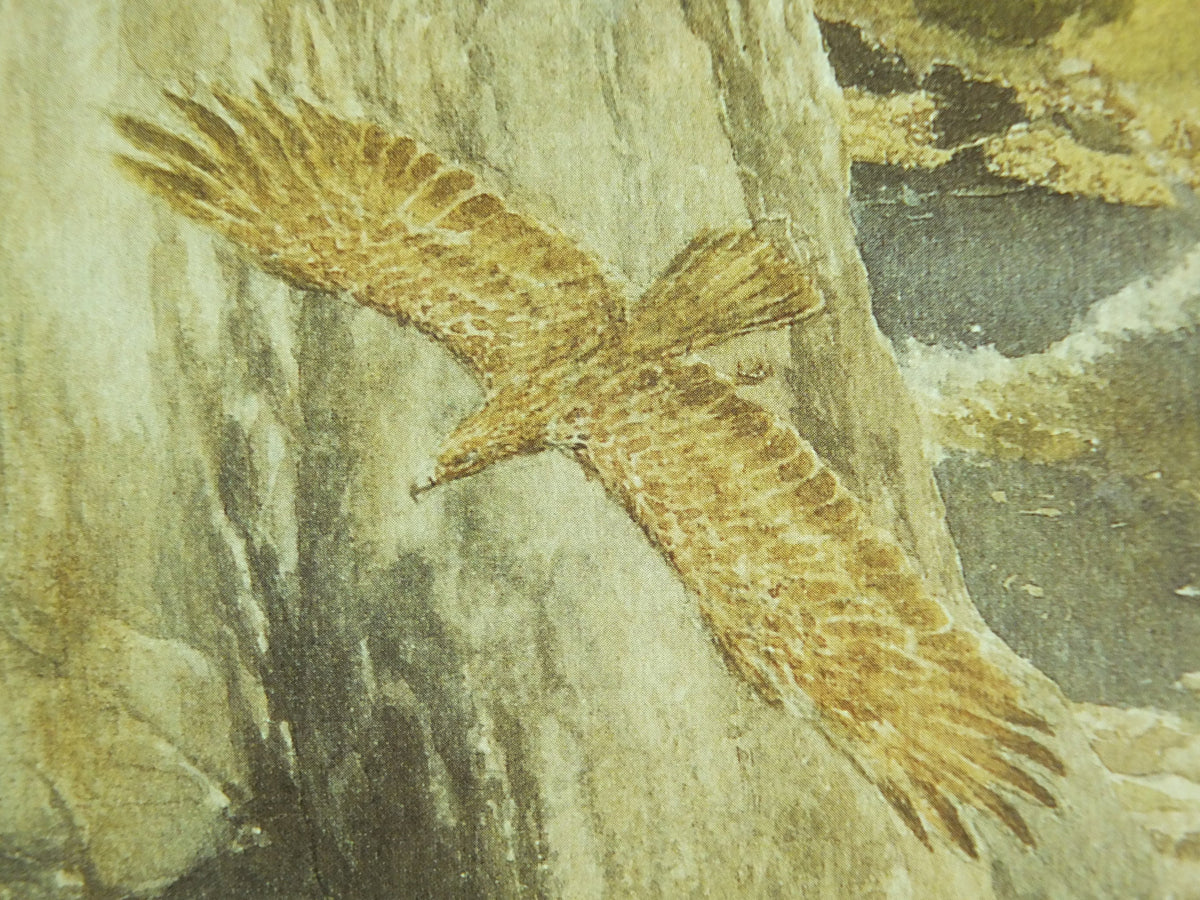 1997 The Carrock Poster, by Alan Lee, from The Hobbit, J.R.R. Tolkien, Beorn and the Eagles, illustration print wall art decor