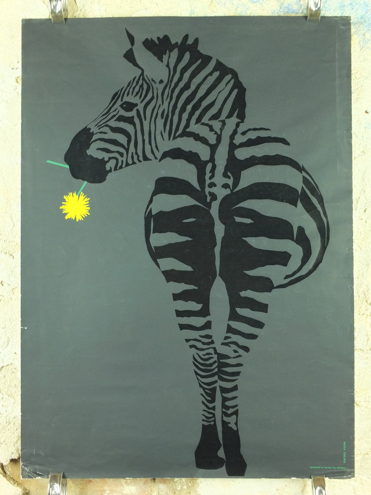 Vintage Zebra Poster by Rachel Klein from Shohar in Israel, Modernist Popart, mid century silkscreen print wall art 1960s