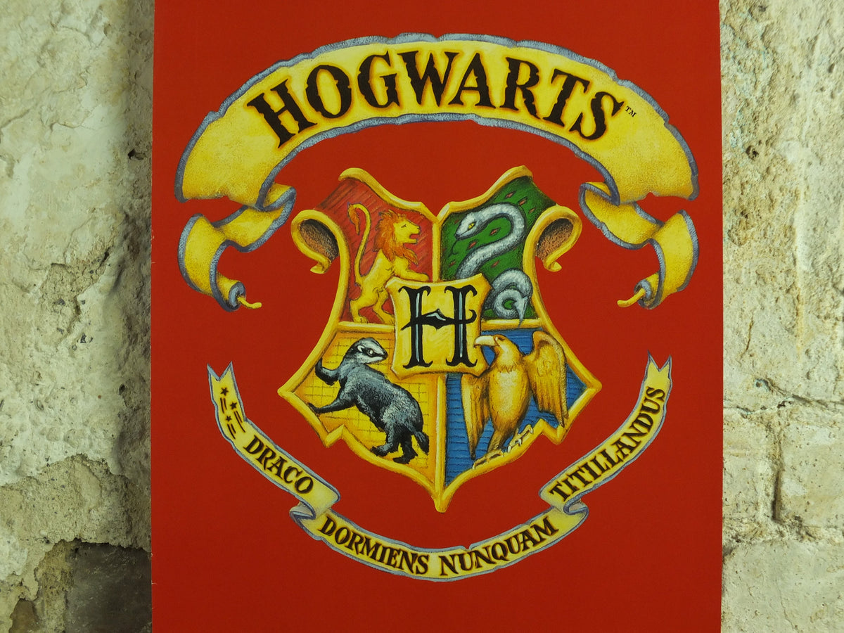 Vintage Harry Potter Gryffindor Poster, Get Set Gryffindors! Hogwarts, wall art cinema film memorabilia