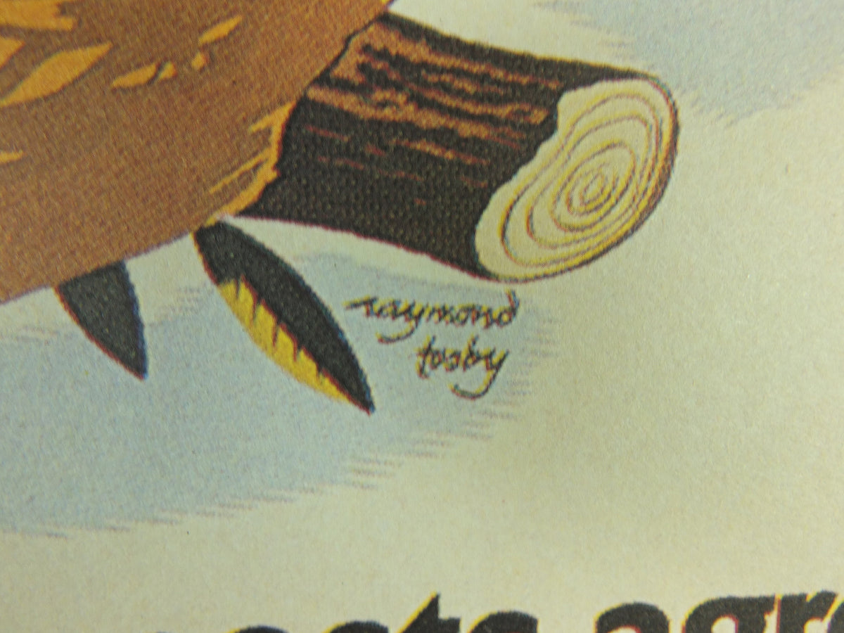 Guinness Toucans Poster, by Raymond Tooby 1957, Guinness is Good for You, Advertising campaign Wall art retro 1990s