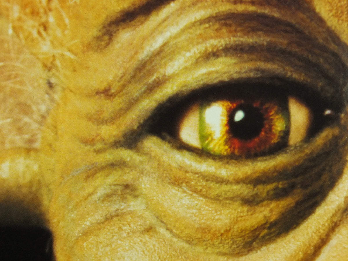 Yoda Return of the Jedi Poster, Star Wars, Lucasfilm, Mark Hamill, Harrison Ford, Carrie Fisher, wall art cinema film memorabilia