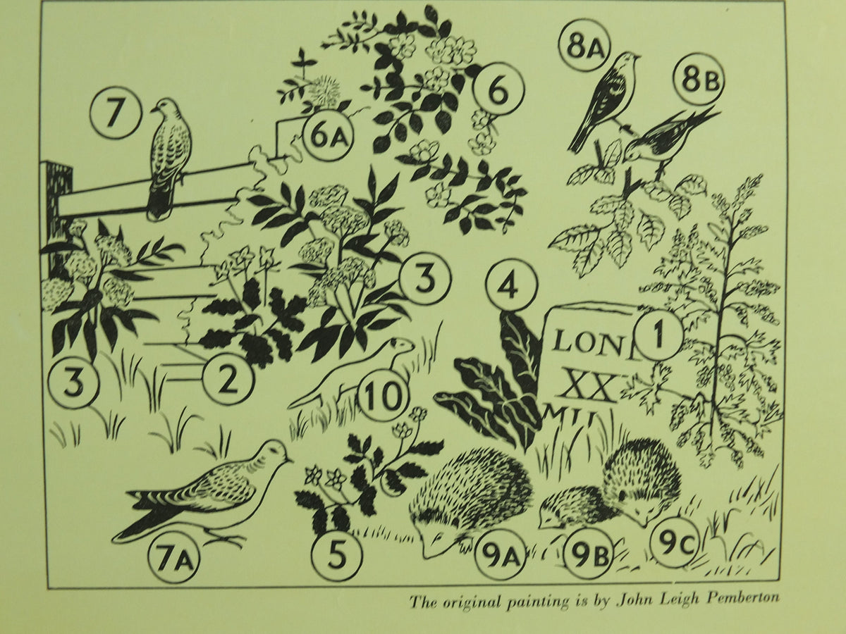 Vintage Shell Guide to Life on the Road Poster, botanical and zoological, educational wall art by John Leigh Pemberton 1950s