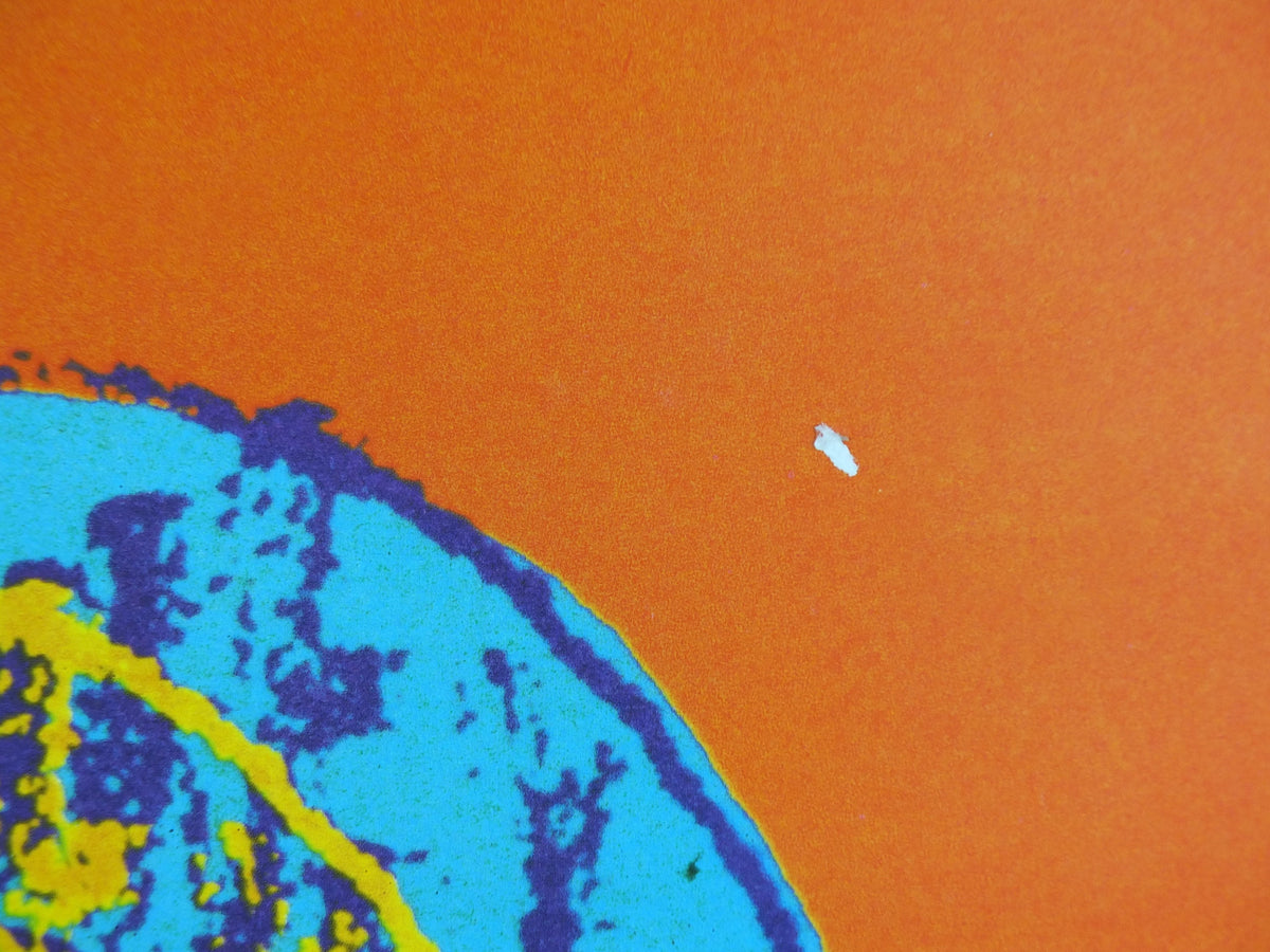 2004 Andy Warhol Poster, Toy Series 1983, Wind up Toy Roll over Mouse, amazing condition, pop art, gallery exhibition wall art 1990s