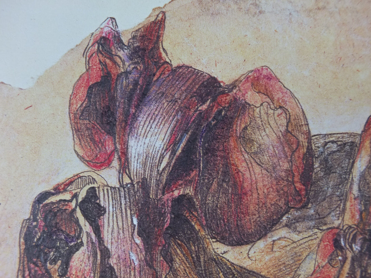 1981 Horst Janssen Poster, Dried Lillies, amazing condition, lithography and print making, gallery exhibition wall art 1980s