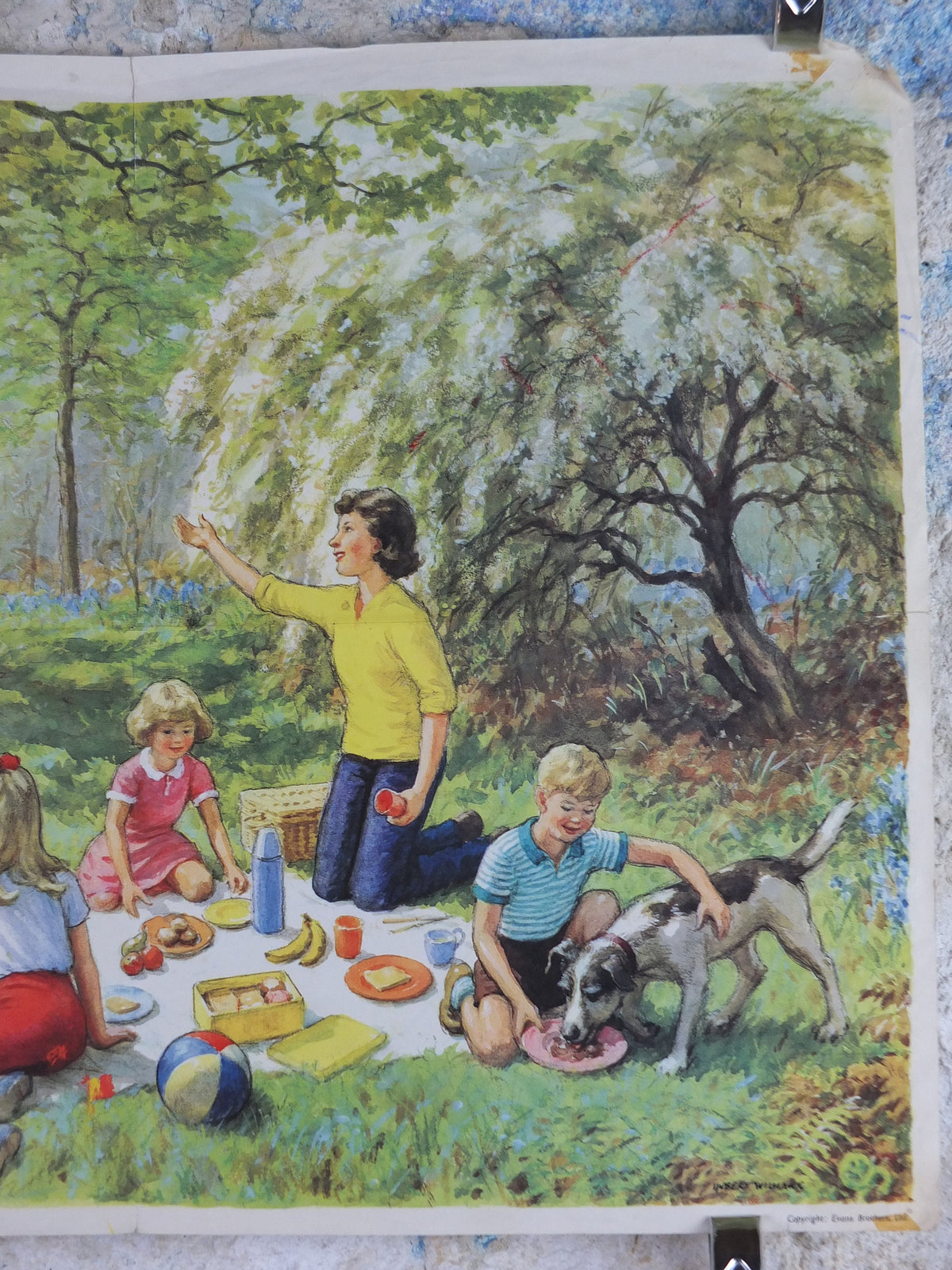1966 Child Education Family Picnic Poster, a large family picnic in the 1960s, by Hubert Williams, mid century print, wall art