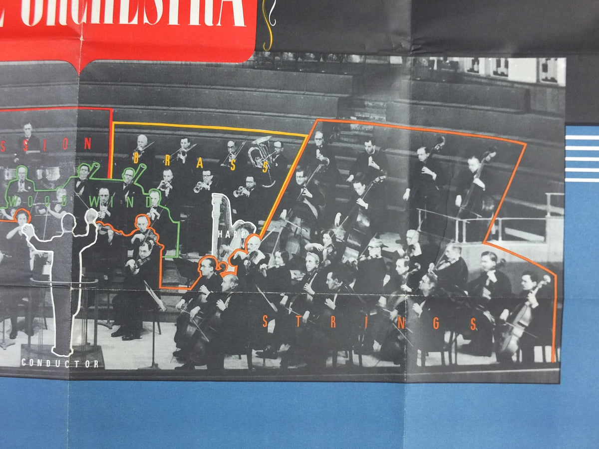Vintage Instruments of the Orchestra Poster, Strings, Woodwind, Brass, Percussion, classical music wall art decor