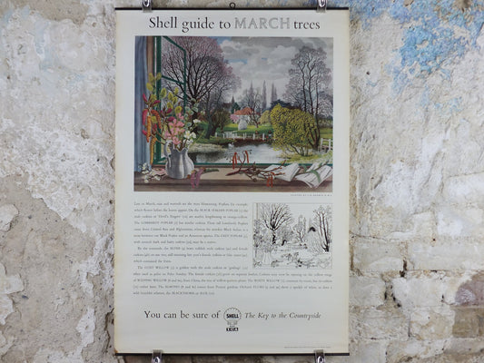Vintage Shell Guide to March Trees Poster, botanical school education wall art by S.R. Badmin 1950s