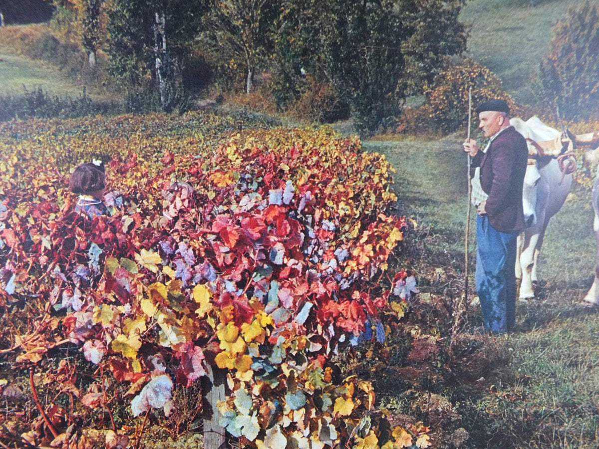 1960s Harvest in Armagnac France Poster, Larressingle, Gascony, printed by French Government, travel tourism holiday vacation wall art decor