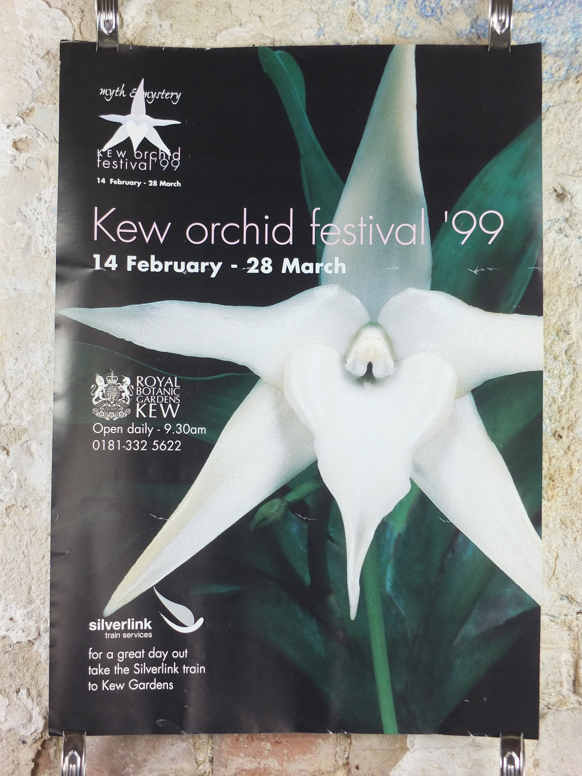 1999 Kew Orchid Festival Poster, Royal Botanic Gardens Kew, Garden botanical flora plants blooms, wall art decor