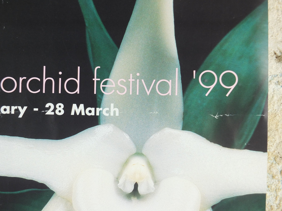 1999 Kew Orchid Festival Poster, Royal Botanic Gardens Kew, Garden botanical flora plants blooms, wall art decor