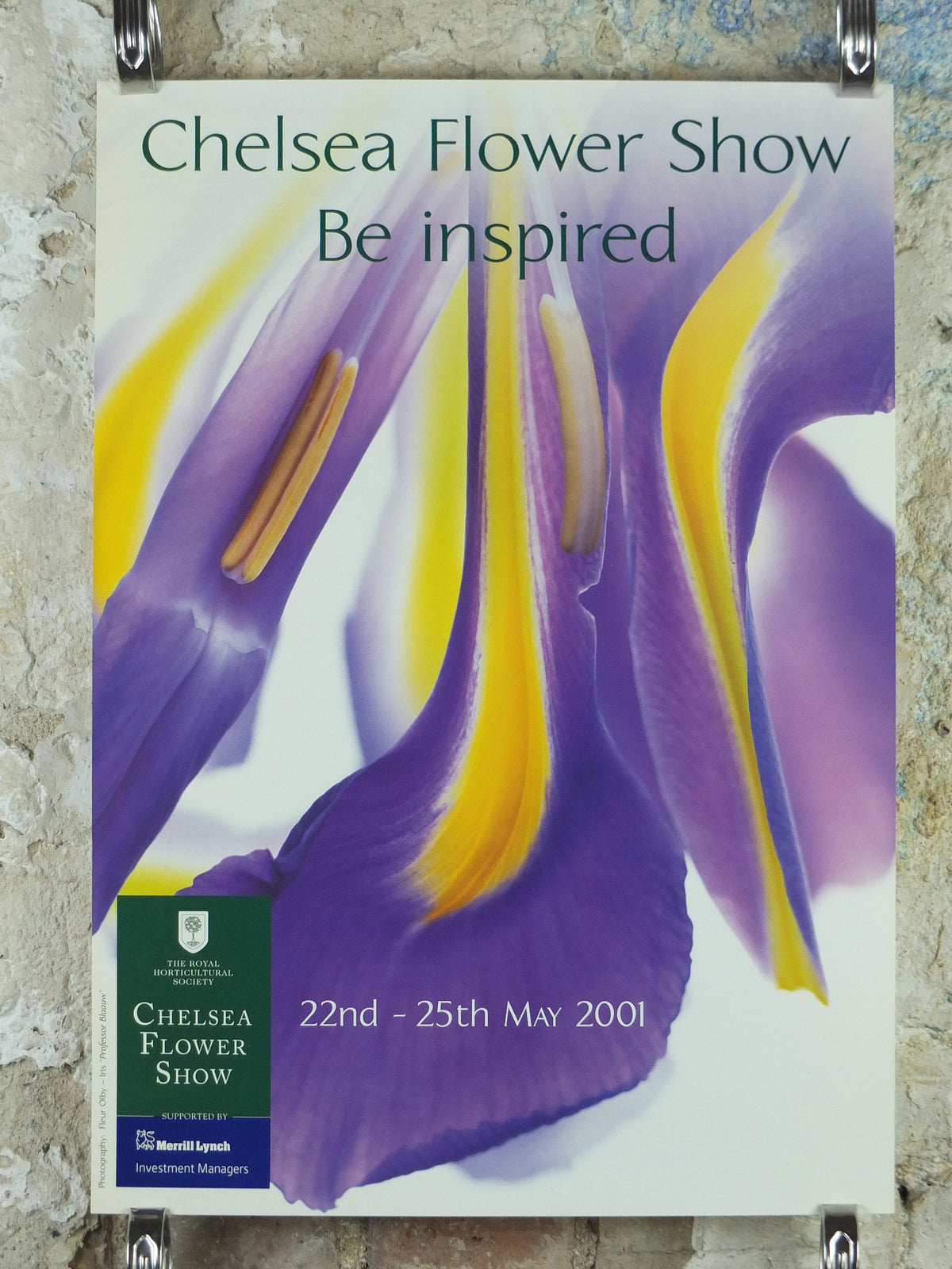 2001 RHS Chelsea Flower Show Poster, Iris, The Royal Horticultural Society, Garden botanical flora plants blooms, wall art decor