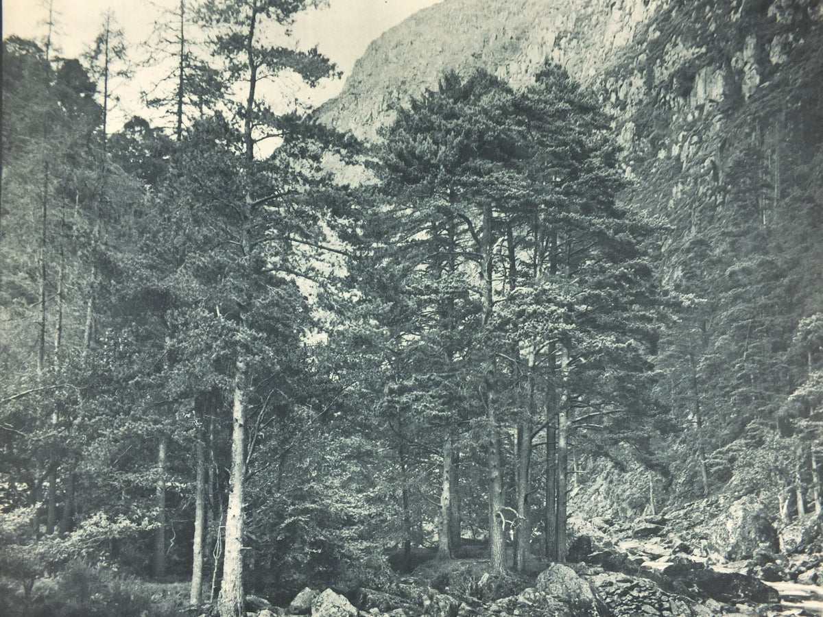 1947 Aberglaslyn Pass Wales Britain Poster, Snowdonia, Travel Association United Kingdom, travel tourism, holiday vacation wall art decor