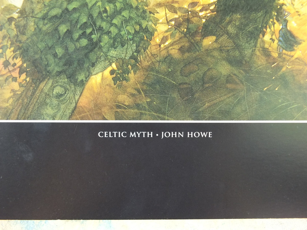 Vintage Celtic Myth by John Howe Poster, Fantasy, unicorn, wizard, knight, fairy, stone ring, illustration print, wall art decor
