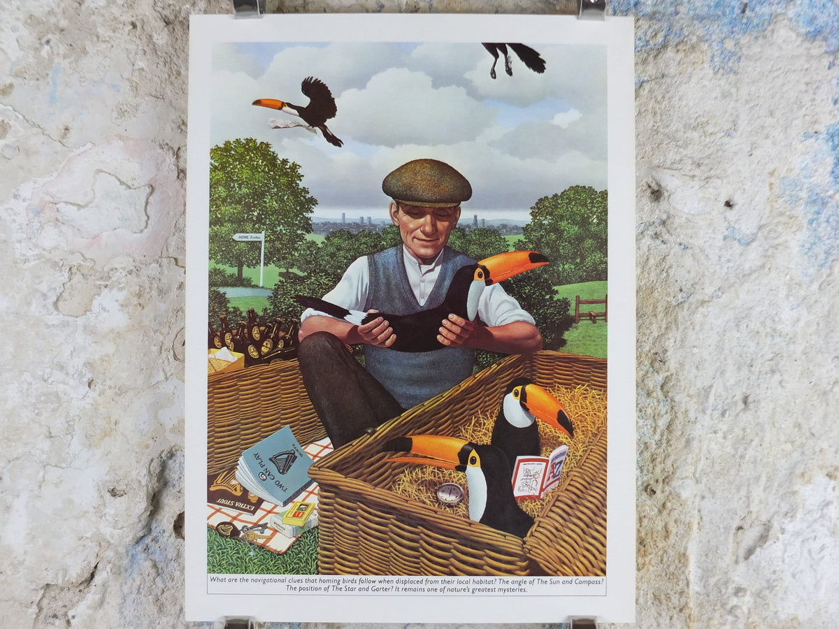 Original Vintage Guinness Toucan Poster, Homing Birds at a picnic, by Ann Sharp, advertising ale Irish stout beer print wall art retro 1970s