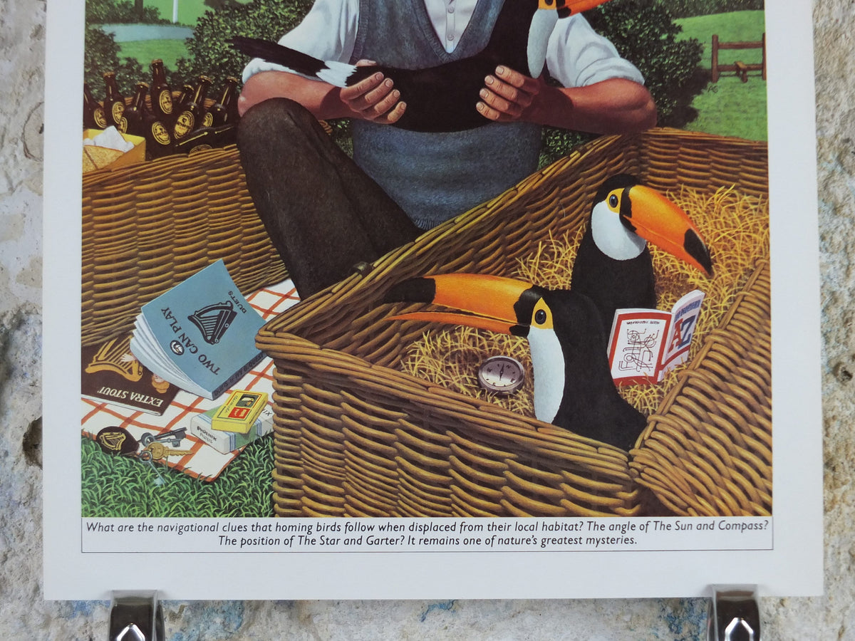 Original Vintage Guinness Toucan Poster, Homing Birds at a picnic, by Ann Sharp, advertising ale Irish stout beer print wall art retro 1970s