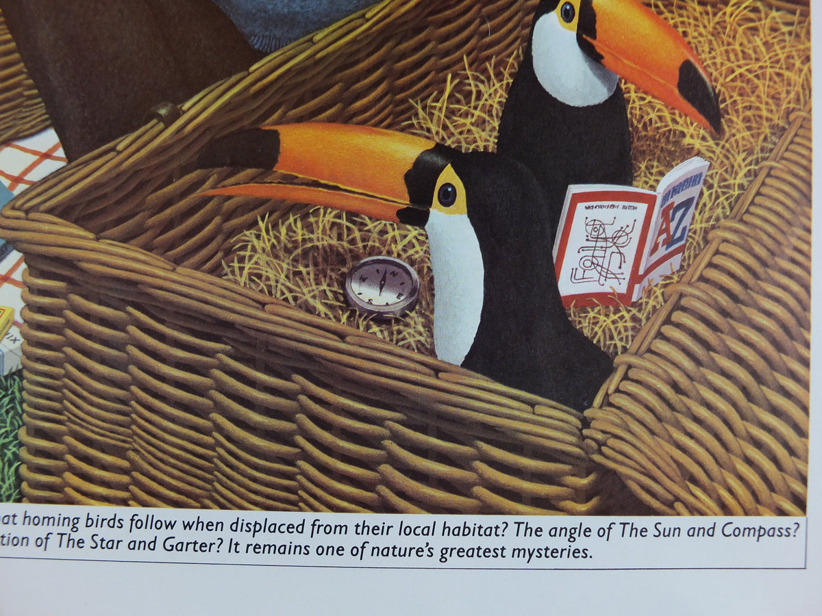 Original Vintage Guinness Toucan Poster, Homing Birds at a picnic, by Ann Sharp, advertising ale Irish stout beer print wall art retro 1970s