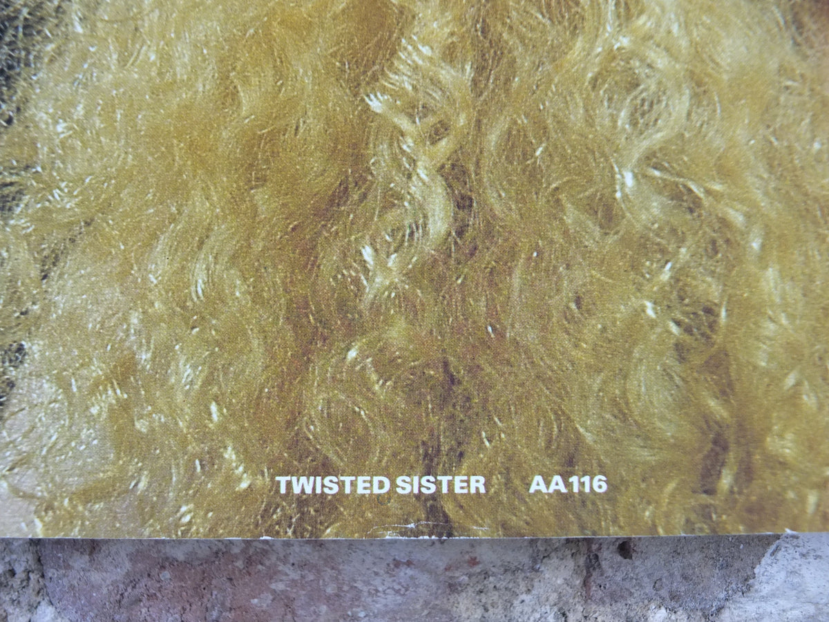 1983 Twisted Sister Poster, American Heavy Metal band from New Jersey, by Anabas AA116, musical wall art decor