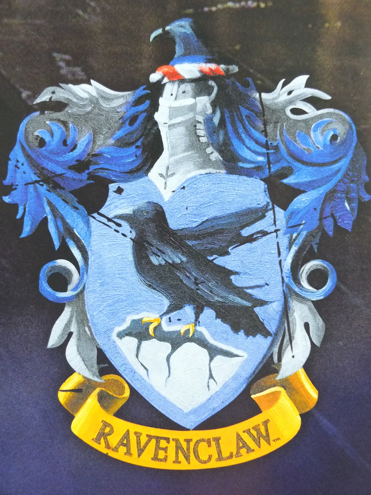 Vintage Harry Potter Hogwarts Poster, Hogwarts Houses, wall art cinema film memorabilia