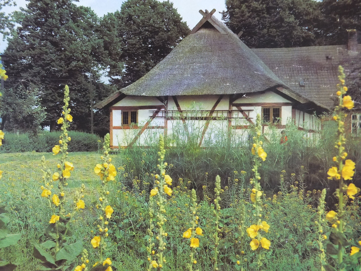 1980s Bauernhaus Schwerin East Germany Poster, DDR, Meuss, Mecklenburg, GDR travel tourism holiday vacation wall art decor