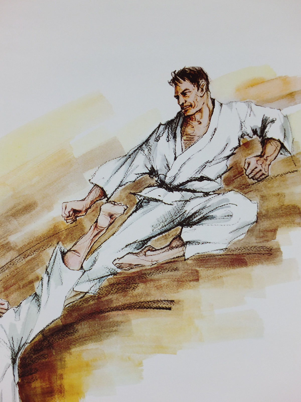 Vintage Karate Poster, Martial Arts showing a flying kick from J Milom, Manchester, Dojo sport, wall art decor 1960s