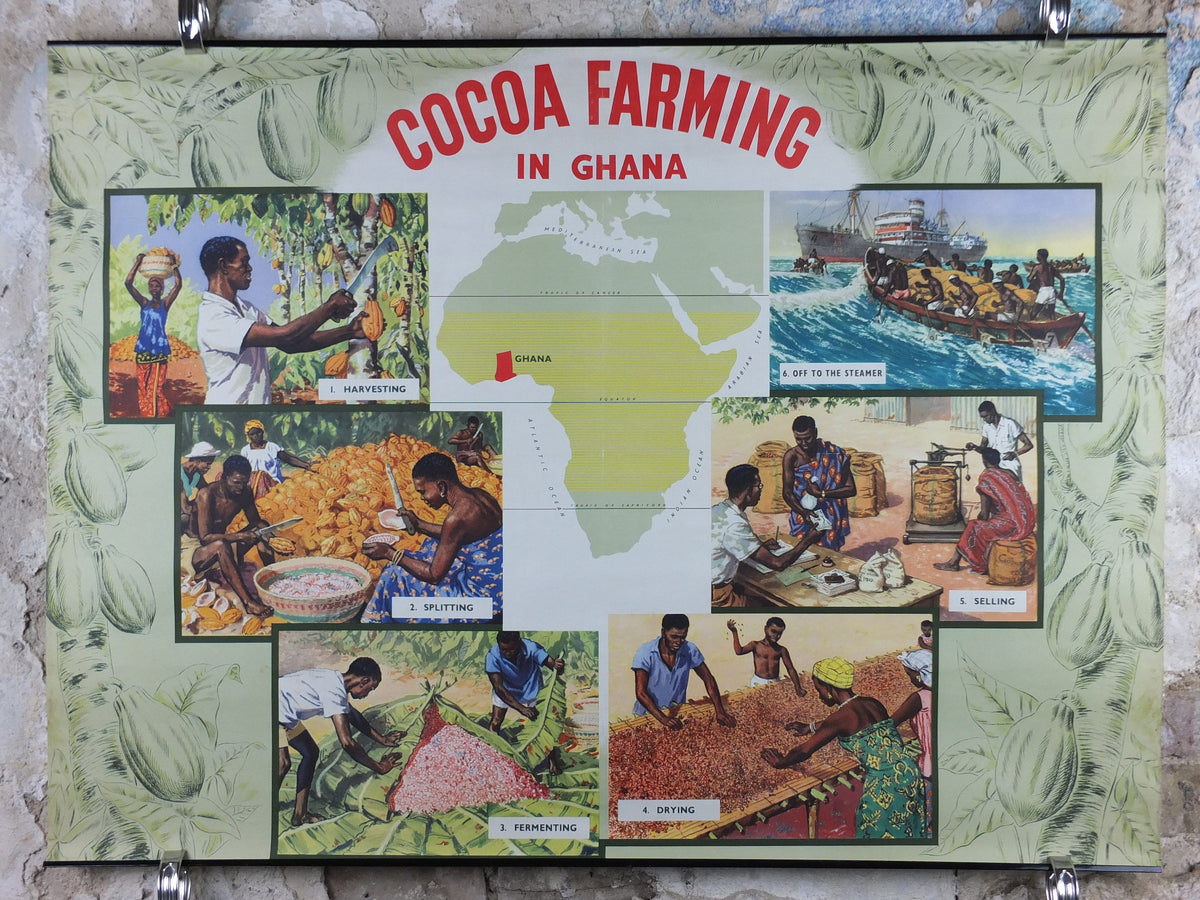 Original 1960s Cocoa Farming in Ghana Poster, Cadbury Chocolate, Cadburys Advertising, wall art retro decor