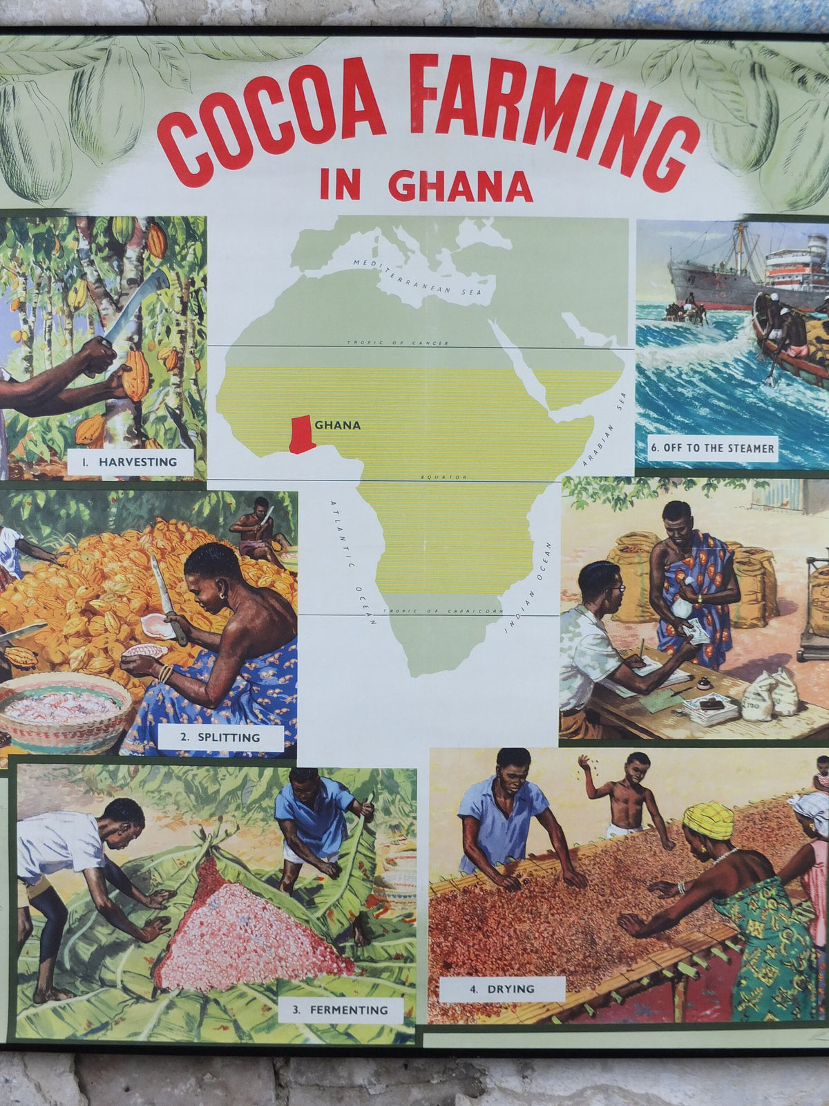 Original 1960s Cocoa Farming in Ghana Poster, Cadbury Chocolate, Cadburys Advertising, wall art retro decor