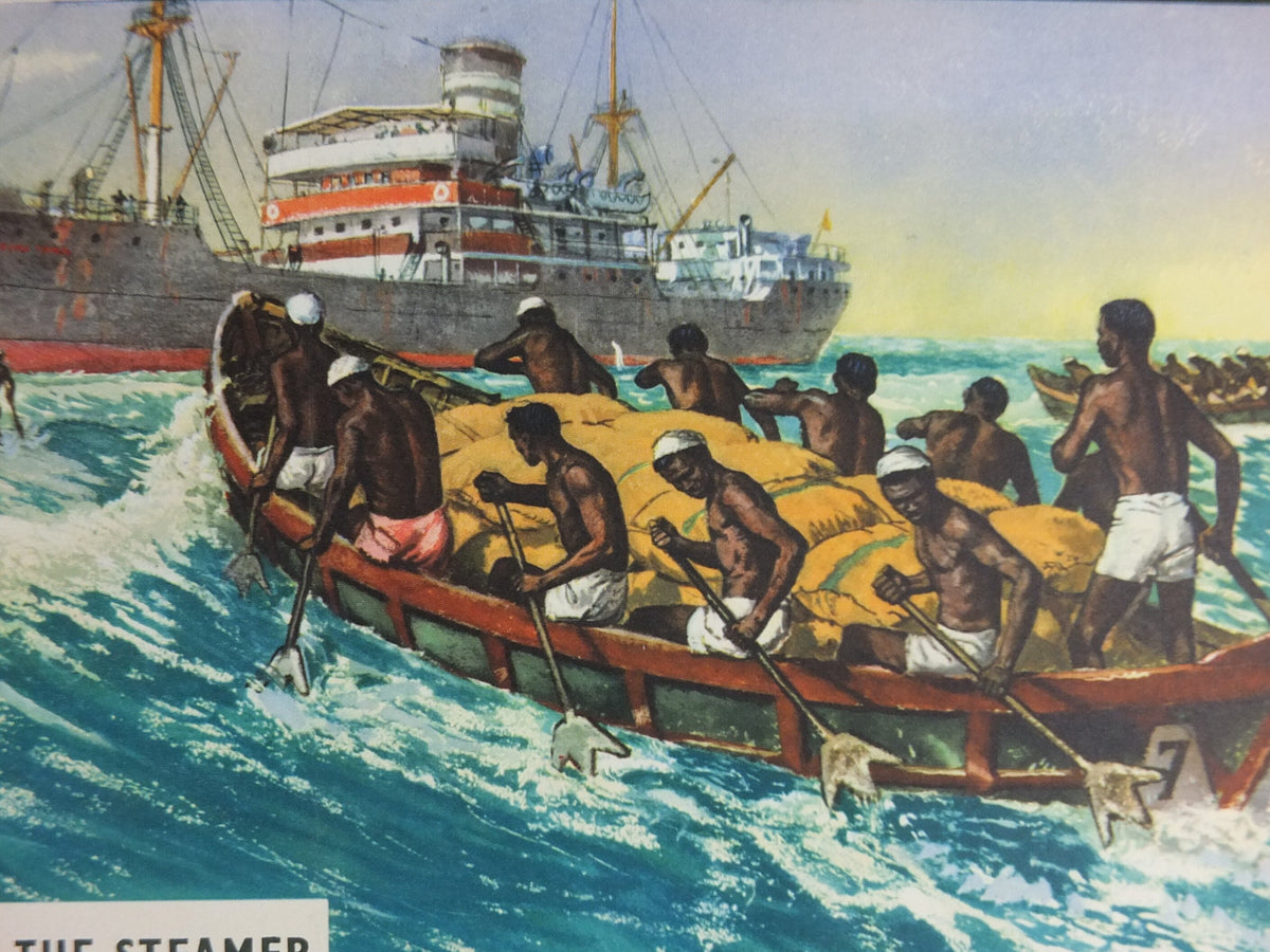 Original 1960s Cocoa Farming in Ghana Poster, Cadbury Chocolate, Cadburys Advertising, wall art retro decor